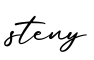单词steny书写