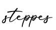 单词steppes书写