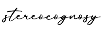单词stereocognosy书写