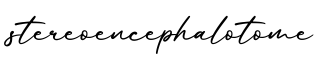 单词stereoencephalotome书写