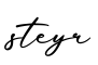 单词steyr书写
