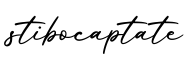 单词stibocaptate书写