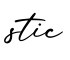 单词stic书写