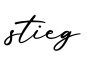 单词stieg书写