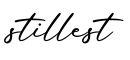 单词stillest书写