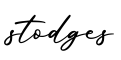 单词stodges书写