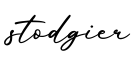 单词stodgier书写