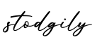 单词stodgily书写