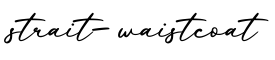 单词strait-waistcoat书写