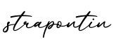 单词strapontin书写