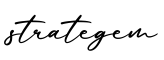 单词strategem书写