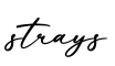 单词strays书写