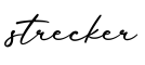 单词strecker书写
