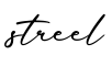单词streel书写