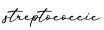 单词streptococcic书写