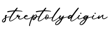 单词streptolydigin书写