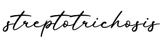单词streptotrichosis书写