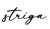 单词striga书写