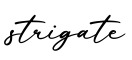单词strigate书写