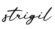 单词strigil书写