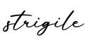 单词strigile书写
