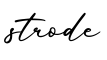 单词strode书写