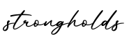 单词strongholds书写