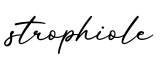 单词strophiole书写