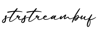 单词strstreambuf书写