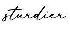 单词sturdier书写