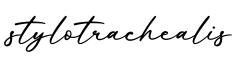单词stylotrachealis书写