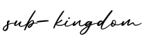 单词sub-kingdom书写