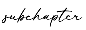 单词subchapter书写
