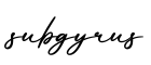 单词subgyrus书写