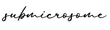 单词submicrosome书写