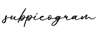 单词subpicogram书写