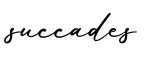 单词succades书写