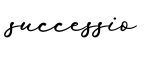 单词successio书写