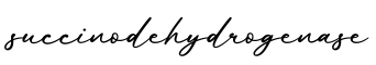 单词succinodehydrogenase书写