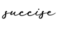 单词succise书写