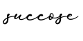 单词succose书写
