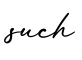 单词such书写