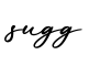 单词sugg书写