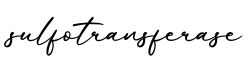单词sulfotransferase书写
