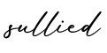 单词sullied书写