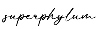 单词superphylum书写