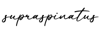单词supraspinatus书写