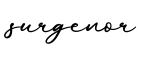 单词surgenor书写