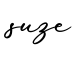 单词suze书写