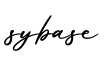单词sybase书写